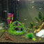 Your one-stop shop for diverse, top-quality aquarium supplies and accessories