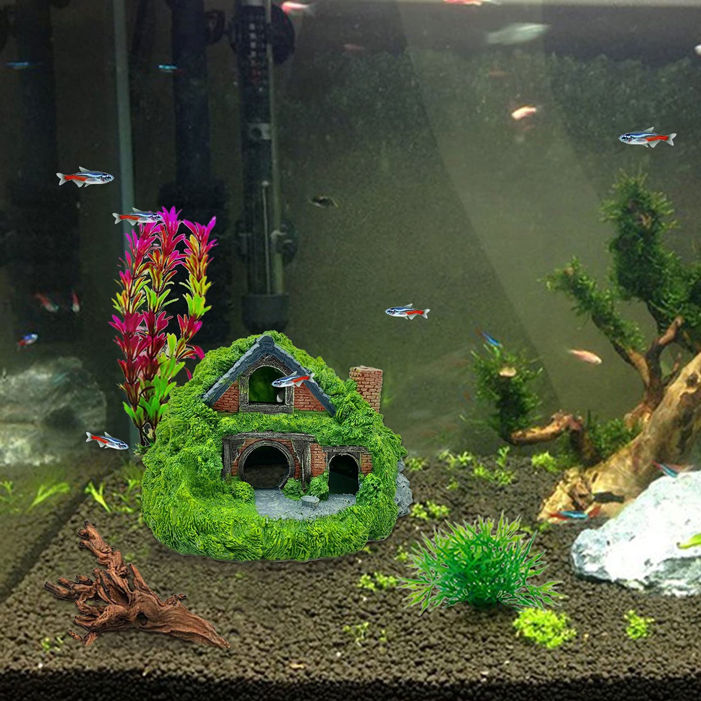 Your one-stop shop for diverse, top-quality aquarium supplies and accessories