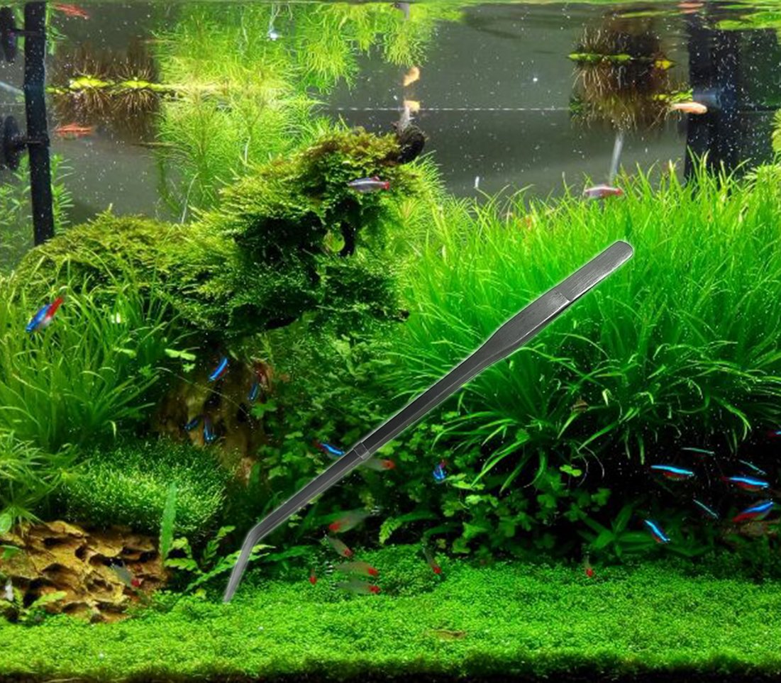 Your one-stop shop for diverse, top-quality aquarium supplies and accessories