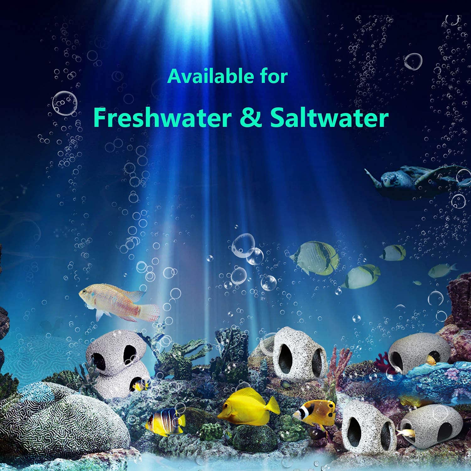 Your one-stop shop for diverse, top-quality aquarium supplies and accessories