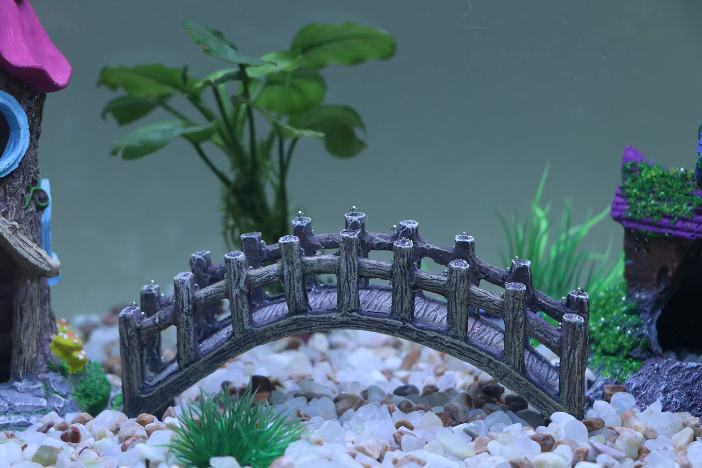 Your one-stop shop for diverse, top-quality aquarium supplies and accessories
