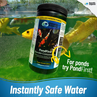 Your one-stop shop for diverse, top-quality aquarium supplies and accessories