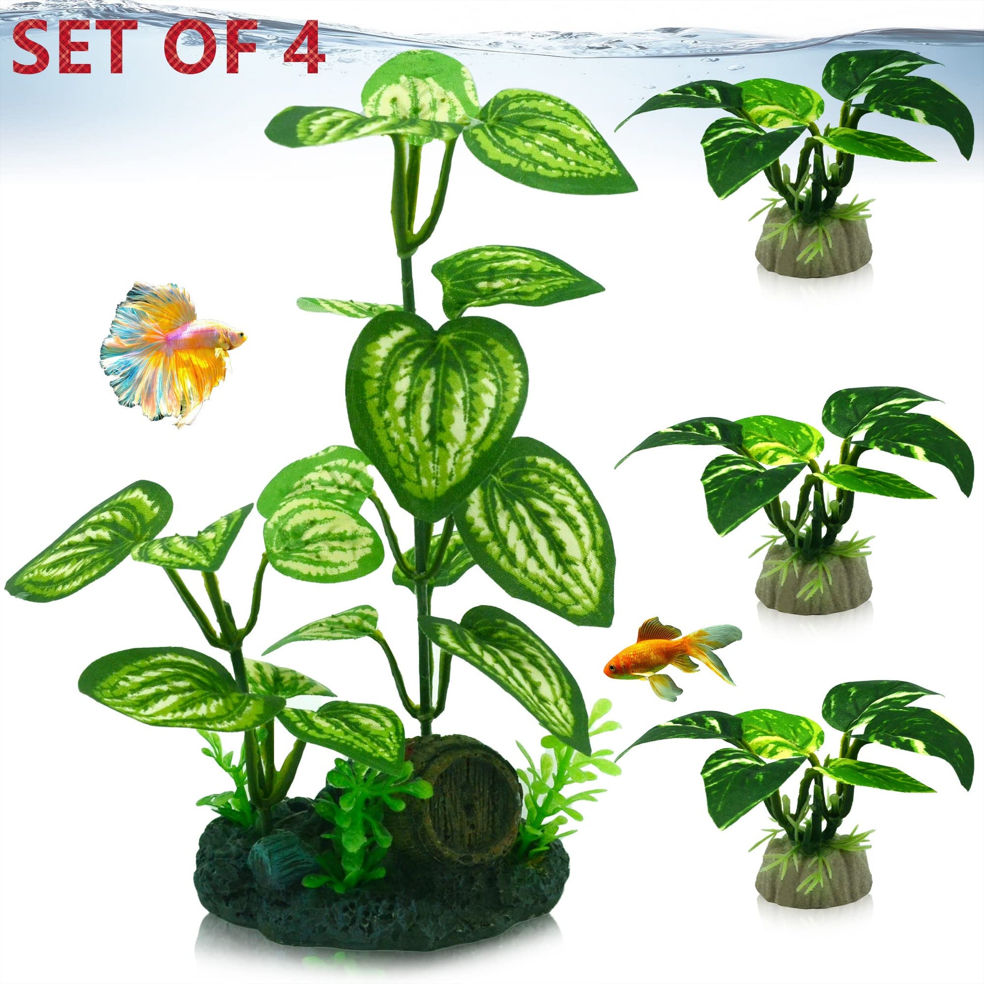 Your one-stop shop for diverse, top-quality aquarium supplies and accessories