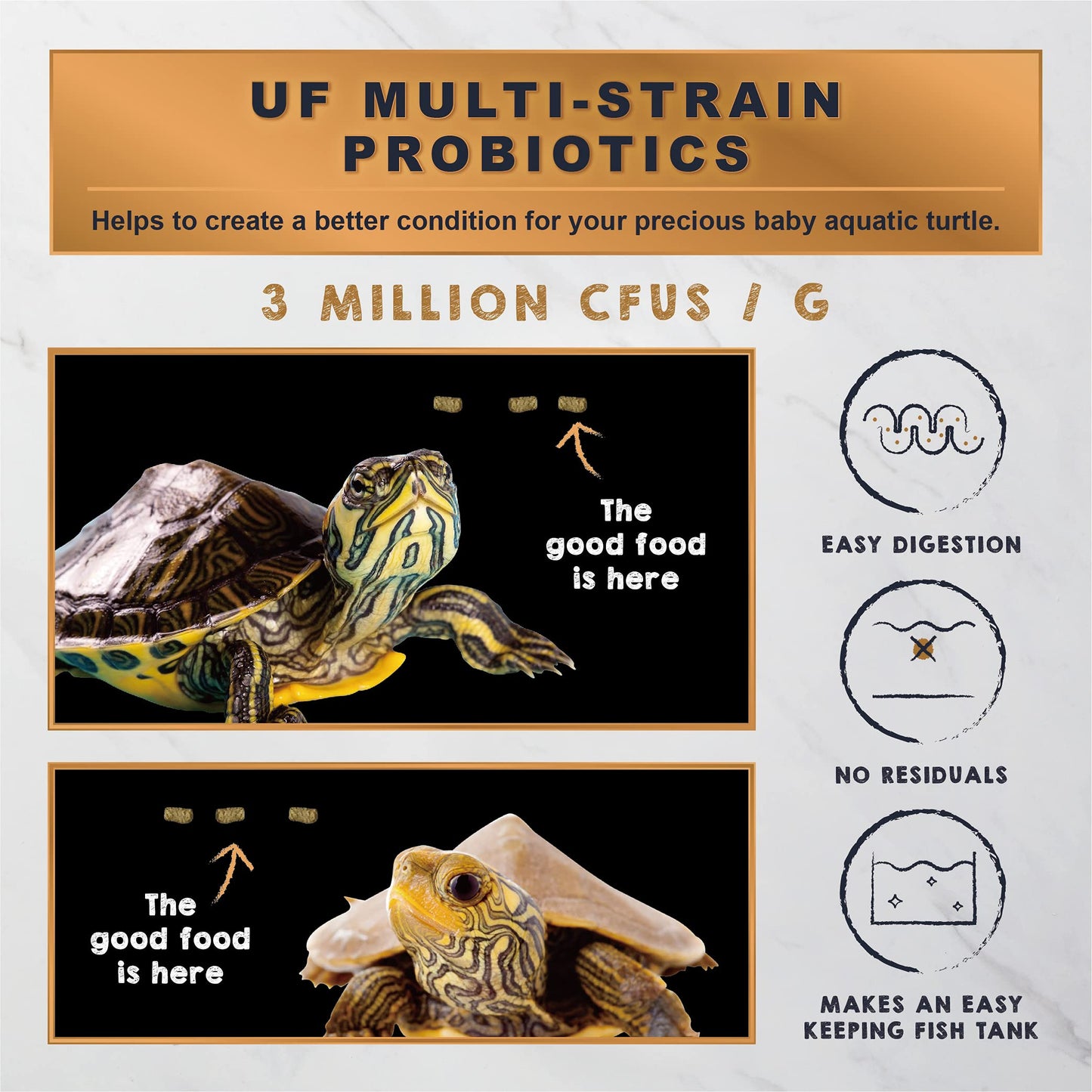 Your one-stop shop for diverse, top-quality aquarium supplies and accessories