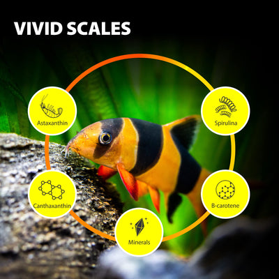Your one-stop shop for diverse, top-quality aquarium supplies and accessories