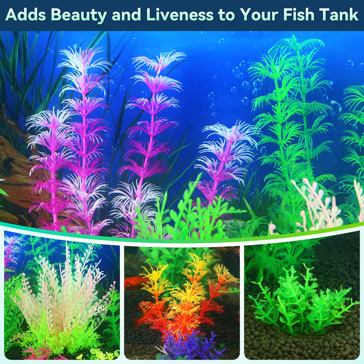 Your one-stop shop for diverse, top-quality aquarium supplies and accessories