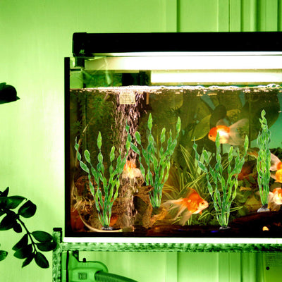 Your one-stop shop for diverse, top-quality aquarium supplies and accessories