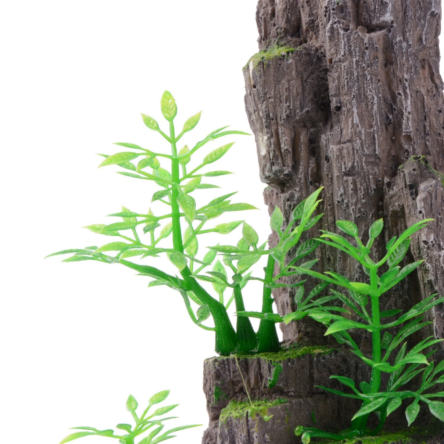 Your one-stop shop for diverse, top-quality aquarium supplies and accessories