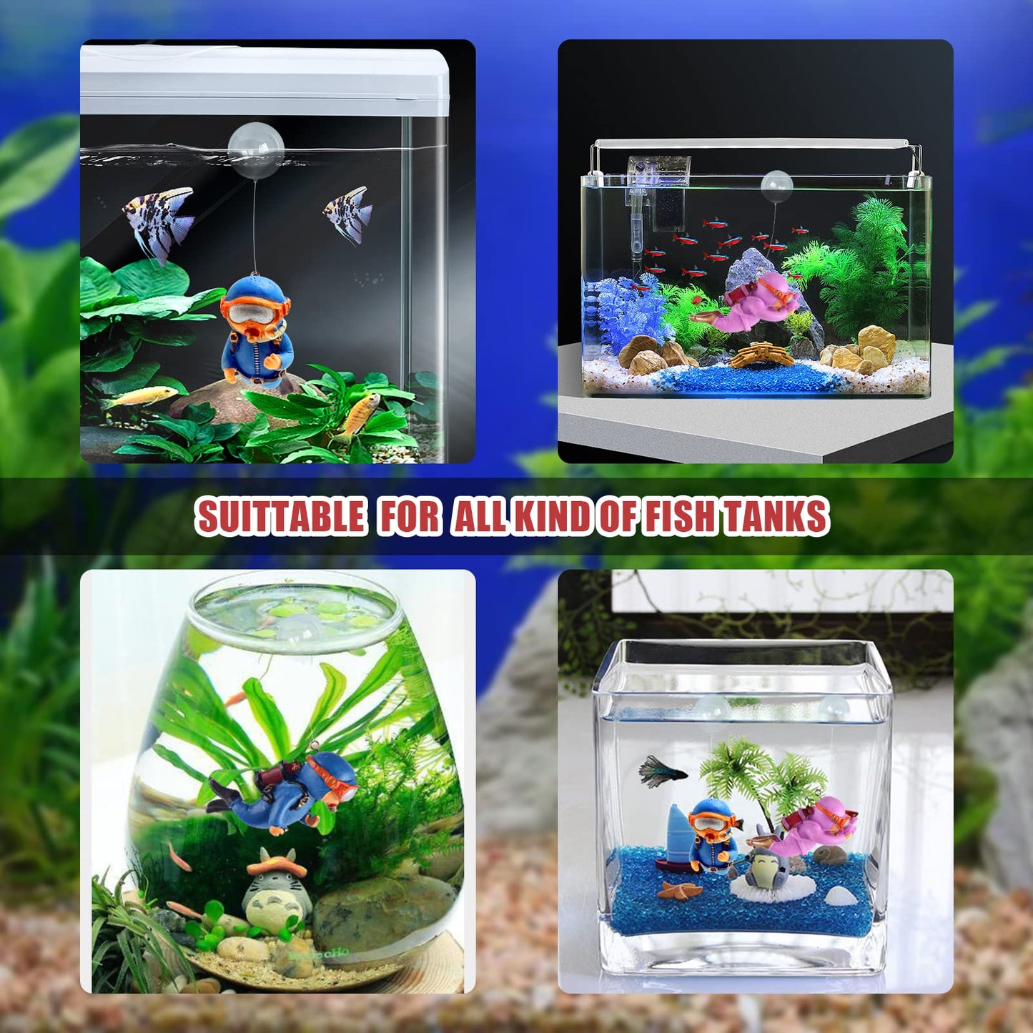 Your one-stop shop for diverse, top-quality aquarium supplies and accessories