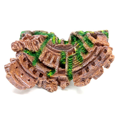 Your one-stop shop for diverse, top-quality aquarium supplies and accessories