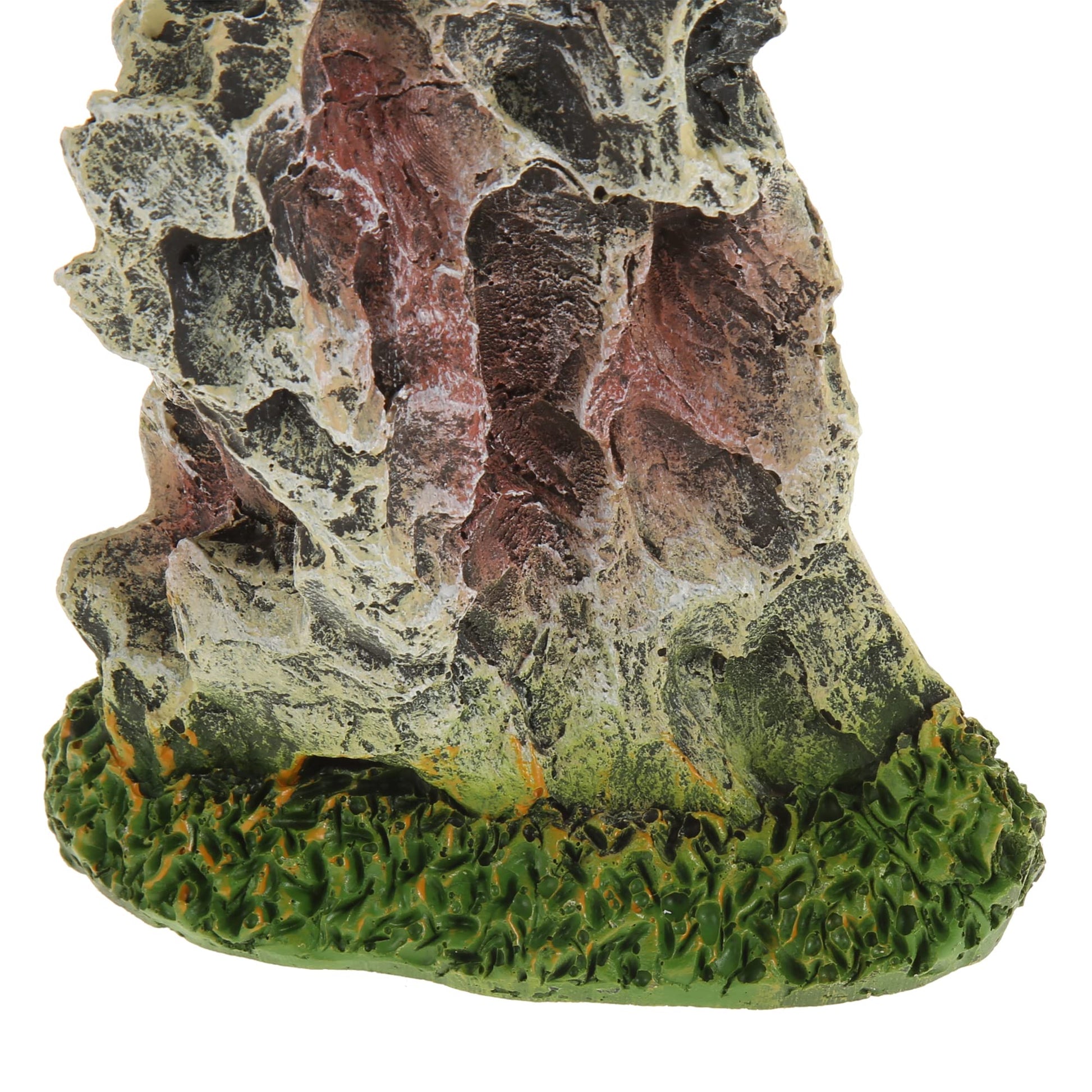 Your one-stop shop for diverse, top-quality aquarium supplies and accessories