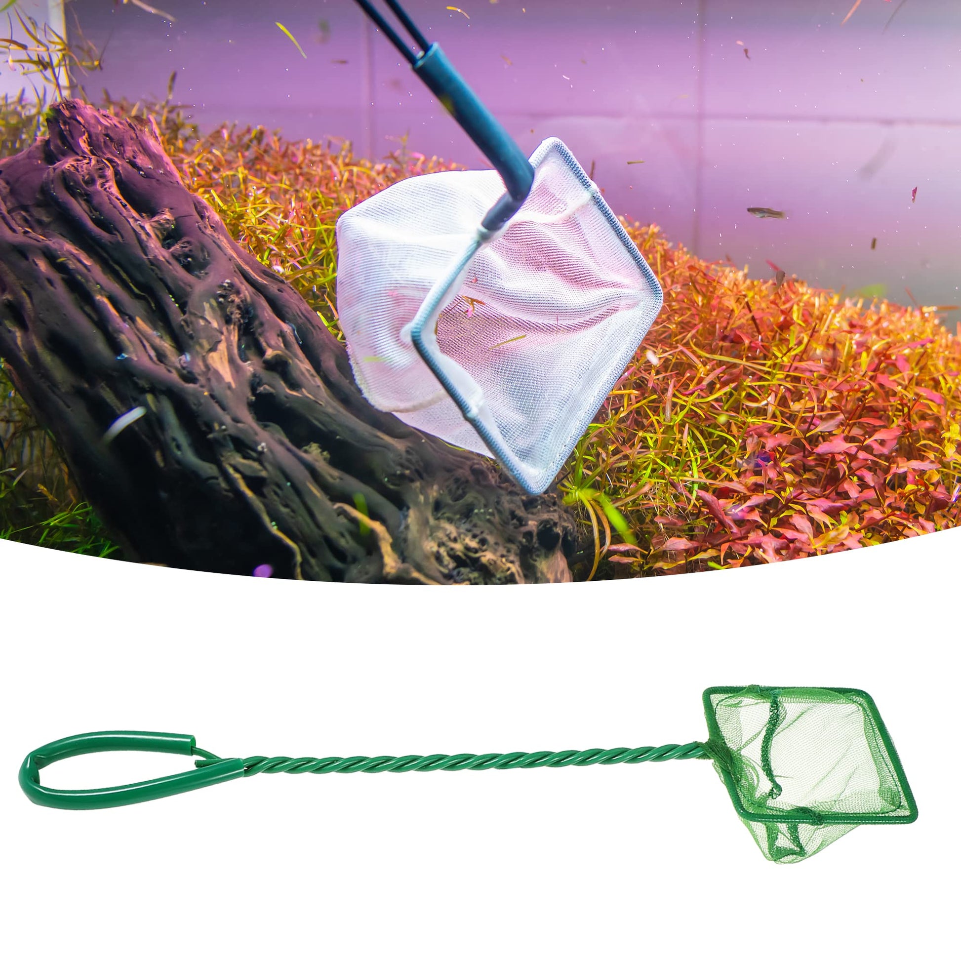Your one-stop shop for diverse, top-quality aquarium supplies and accessories
