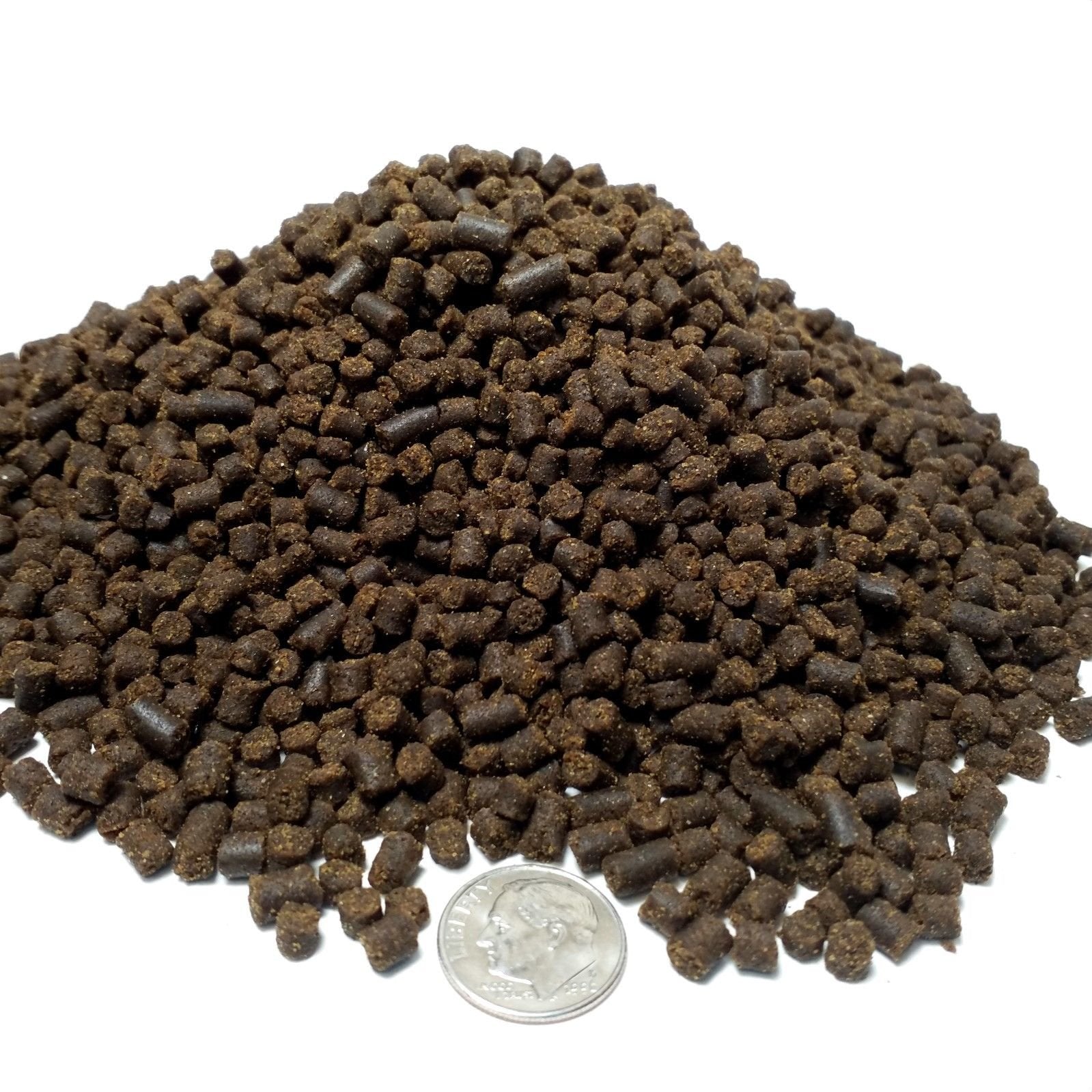 Your one-stop shop for diverse, top-quality aquarium supplies and accessories