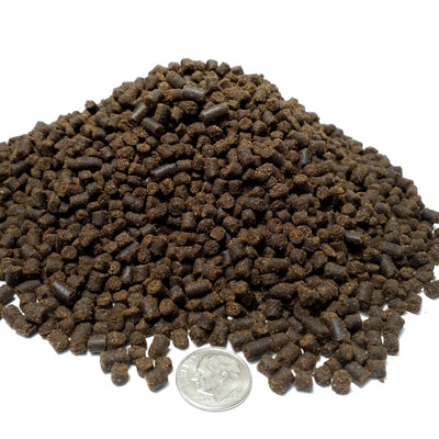 Your one-stop shop for diverse, top-quality aquarium supplies and accessories