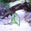 Your one-stop shop for diverse, top-quality aquarium supplies and accessories