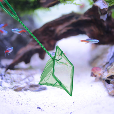Your one-stop shop for diverse, top-quality aquarium supplies and accessories