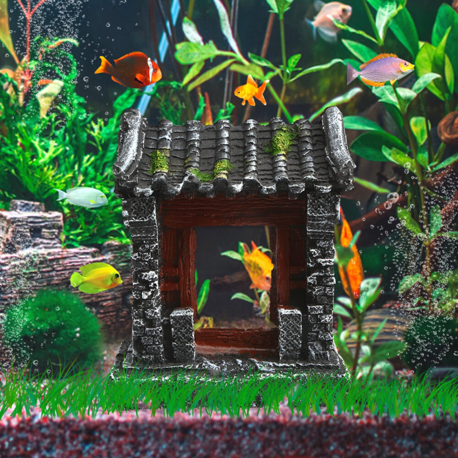 Your one-stop shop for diverse, top-quality aquarium supplies and accessories