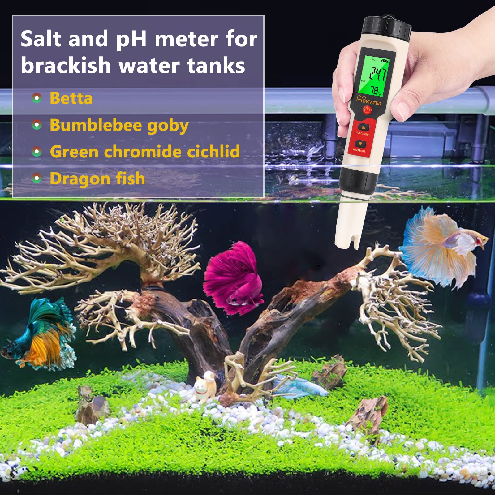 Your one-stop shop for diverse, top-quality aquarium supplies and accessories