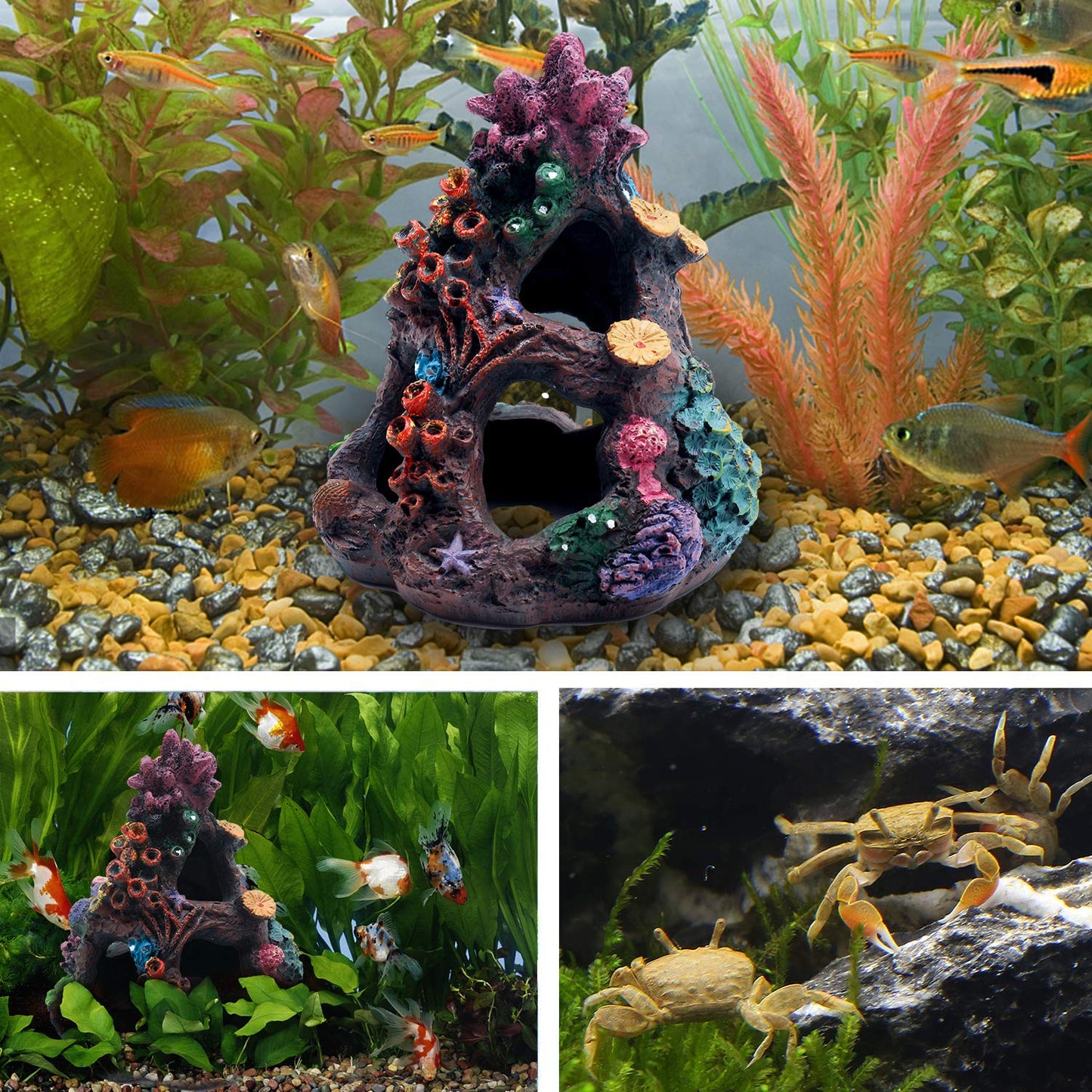Your one-stop shop for diverse, top-quality aquarium supplies and accessories