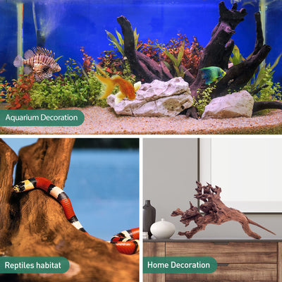 Your one-stop shop for diverse, top-quality aquarium supplies and accessories