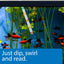 Your one-stop shop for diverse, top-quality aquarium supplies and accessories