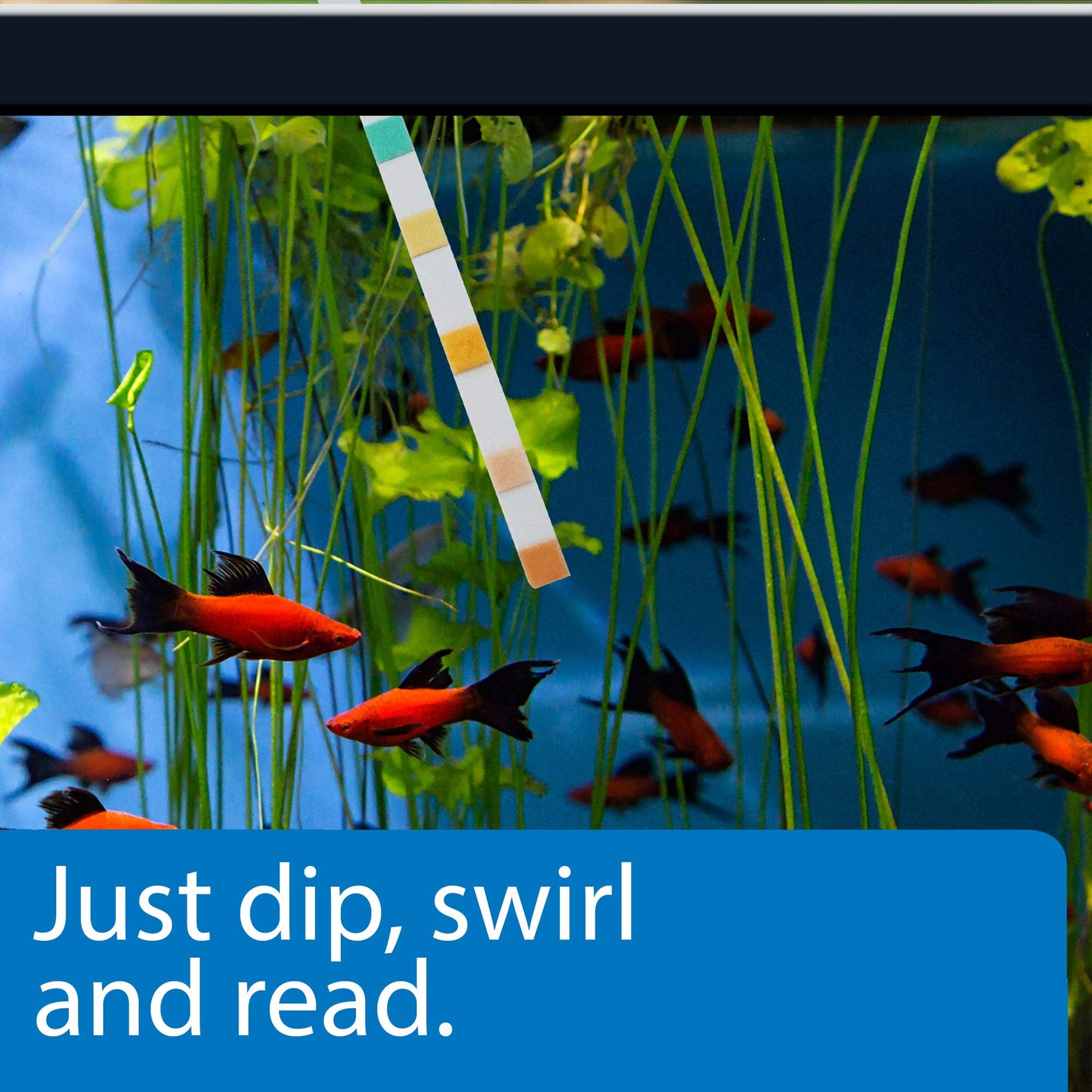 Your one-stop shop for diverse, top-quality aquarium supplies and accessories