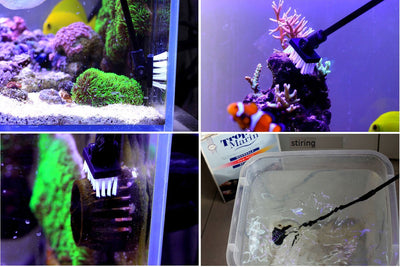 Your one-stop shop for diverse, top-quality aquarium supplies and accessories