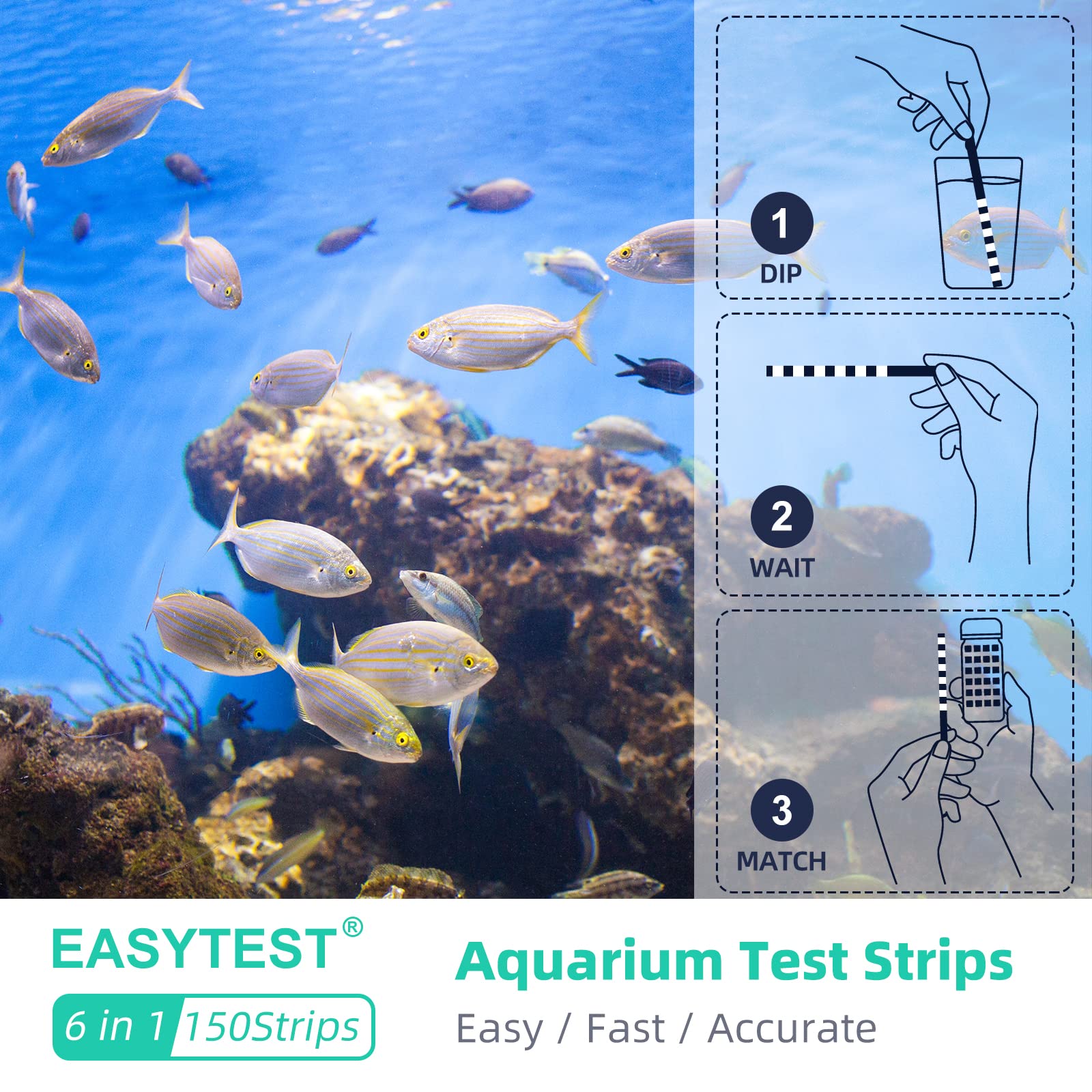 Your one-stop shop for diverse, top-quality aquarium supplies and accessories