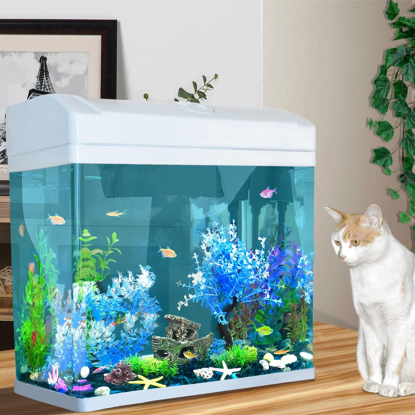 Your one-stop shop for diverse, top-quality aquarium supplies and accessories