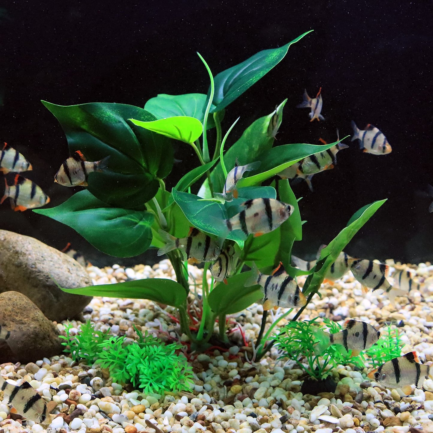 Your one-stop shop for diverse, top-quality aquarium supplies and accessories