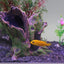 Your one-stop shop for diverse, top-quality aquarium supplies and accessories