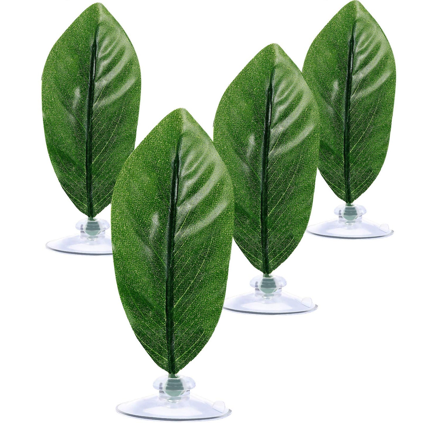 Your one-stop shop for diverse, top-quality aquarium supplies and accessories