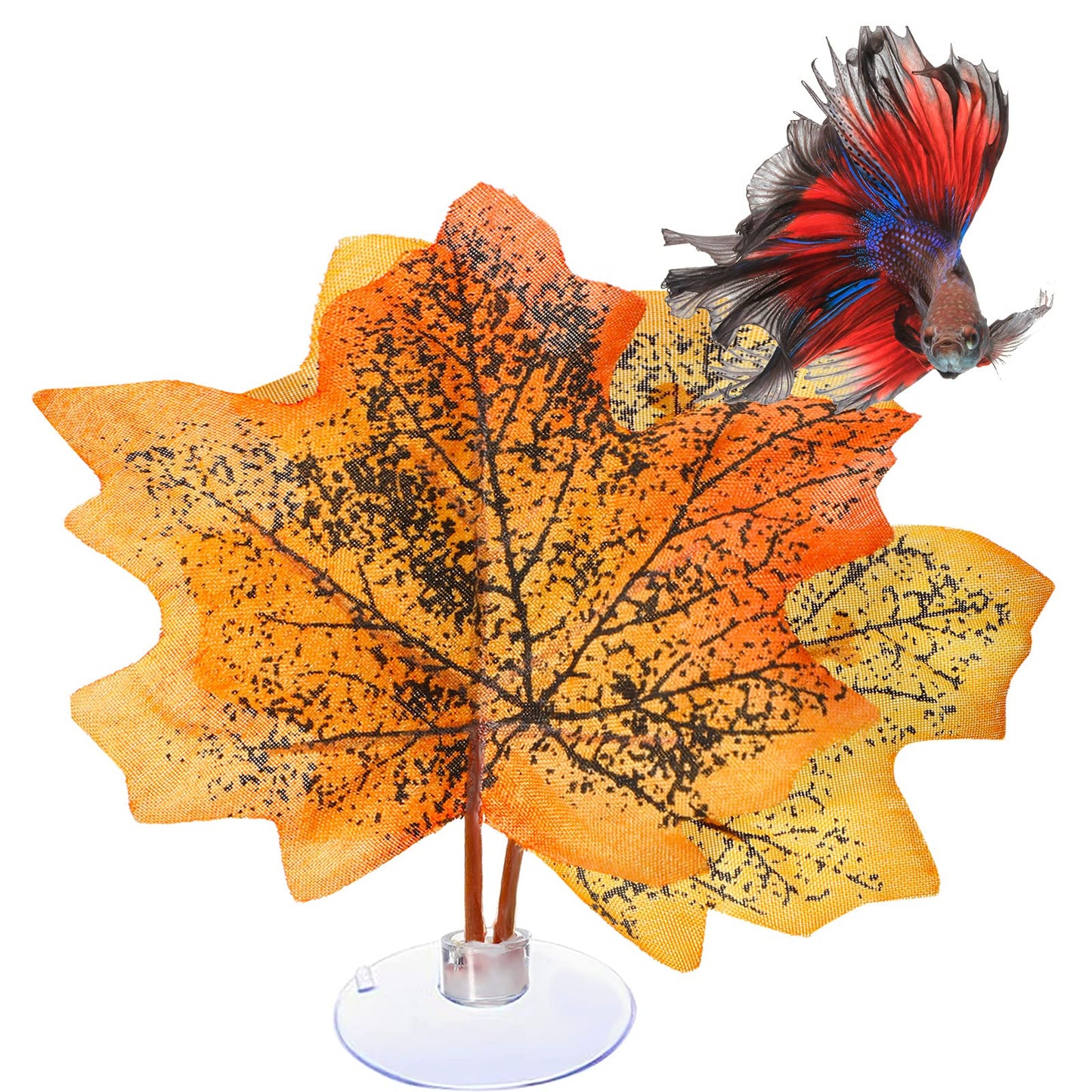 Your one-stop shop for diverse, top-quality aquarium supplies and accessories