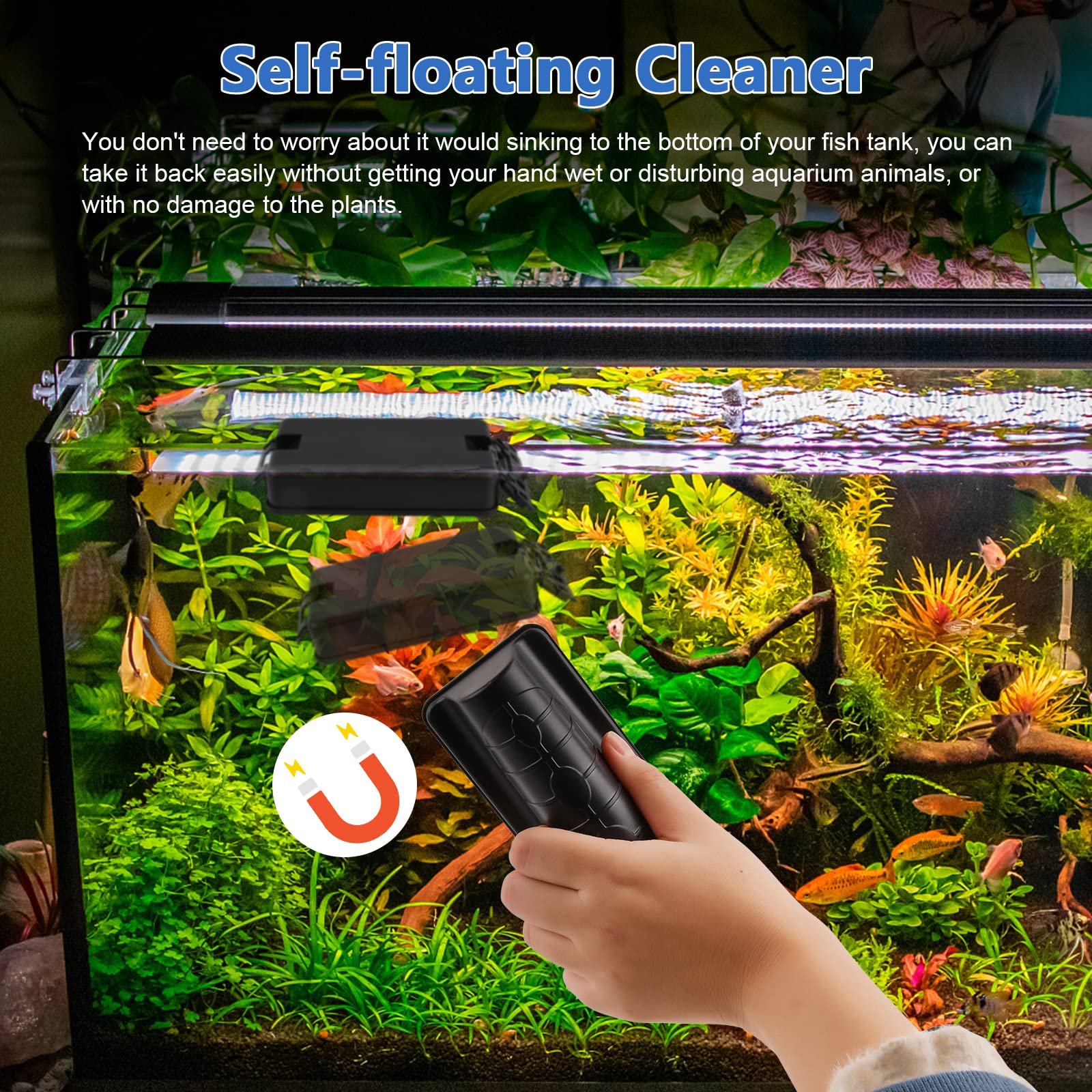 Your one-stop shop for diverse, top-quality aquarium supplies and accessories