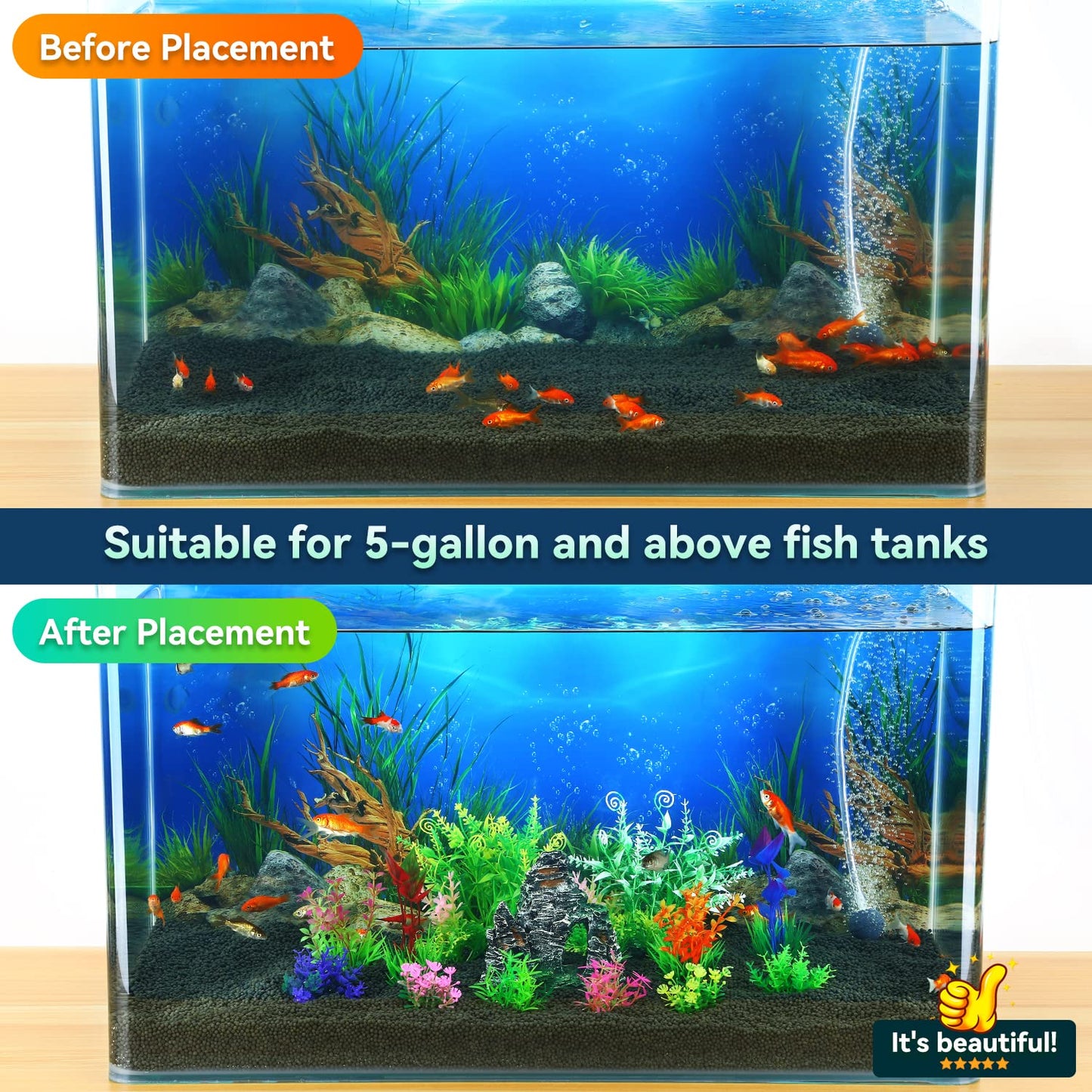 Your one-stop shop for diverse, top-quality aquarium supplies and accessories
