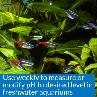 Your one-stop shop for diverse, top-quality aquarium supplies and accessories