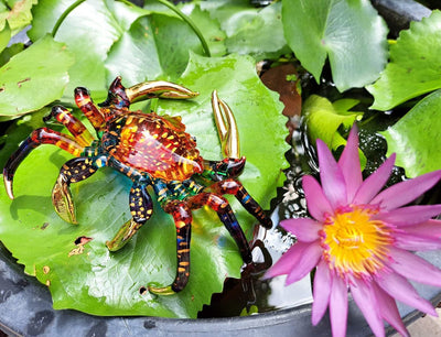 Your one-stop shop for diverse, top-quality aquarium supplies and accessories