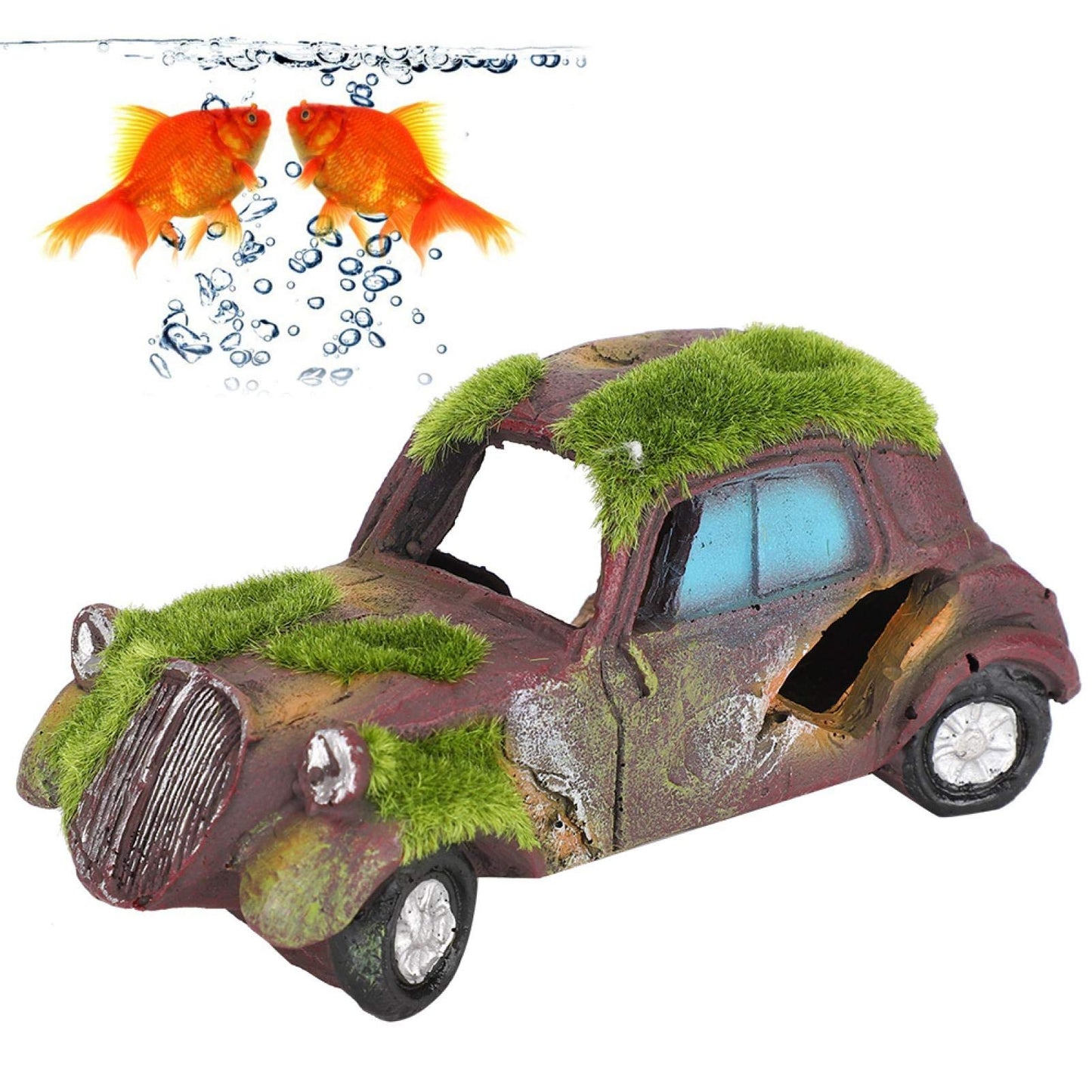 Your one-stop shop for diverse, top-quality aquarium supplies and accessories