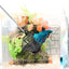 Your one-stop shop for diverse, top-quality aquarium supplies and accessories