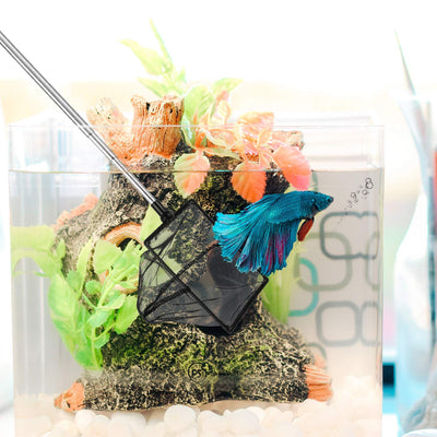 Your one-stop shop for diverse, top-quality aquarium supplies and accessories