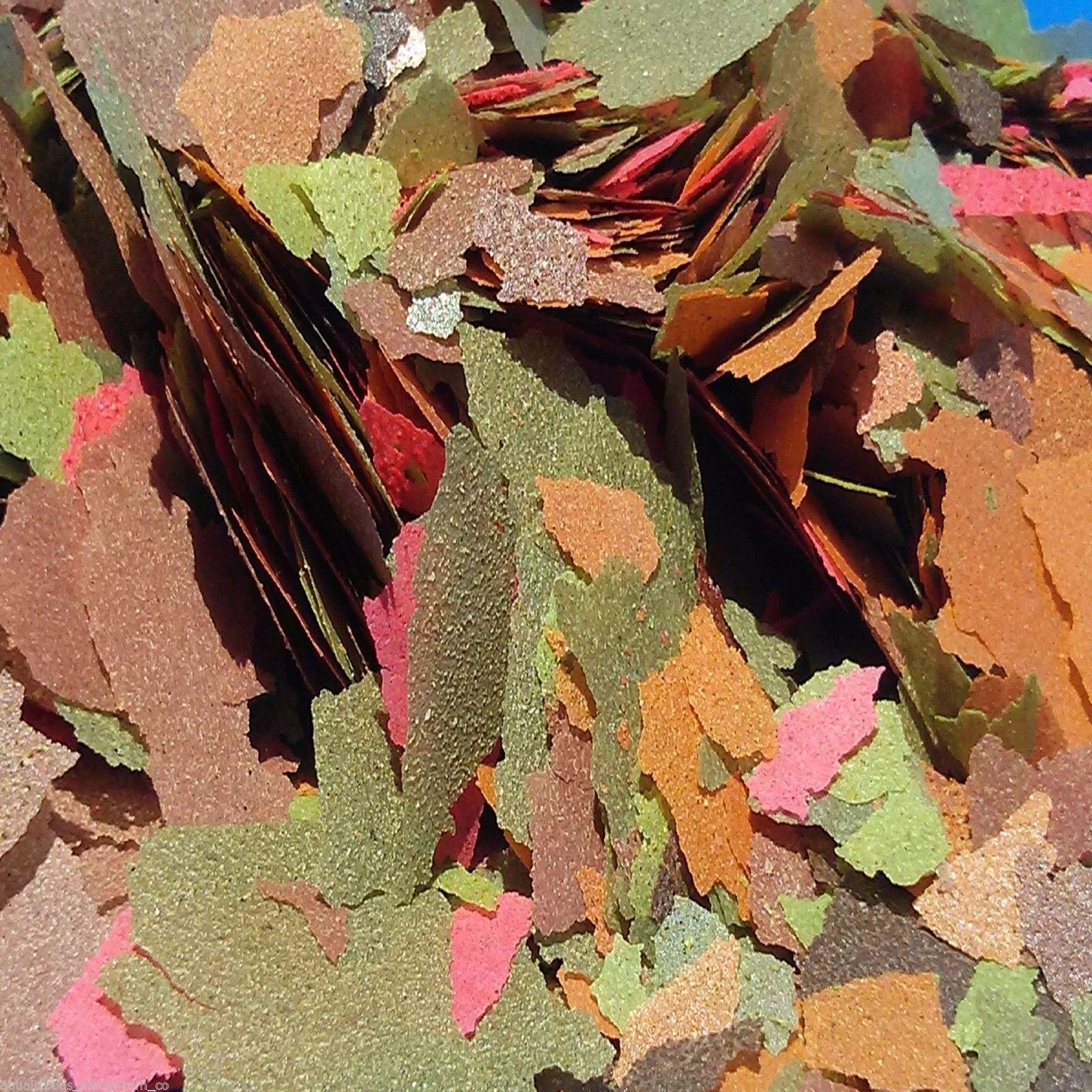 Your one-stop shop for diverse, top-quality aquarium supplies and accessories