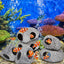 Your one-stop shop for diverse, top-quality aquarium supplies and accessories