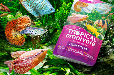 Your one-stop shop for diverse, top-quality aquarium supplies and accessories