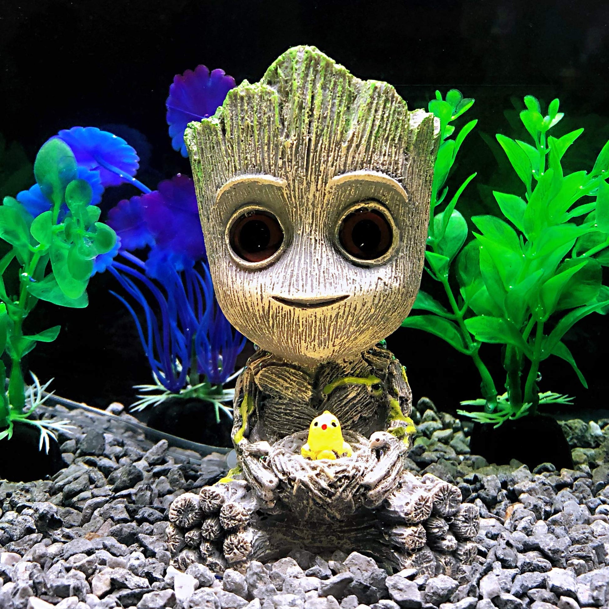 Your one-stop shop for diverse, top-quality aquarium supplies and accessories