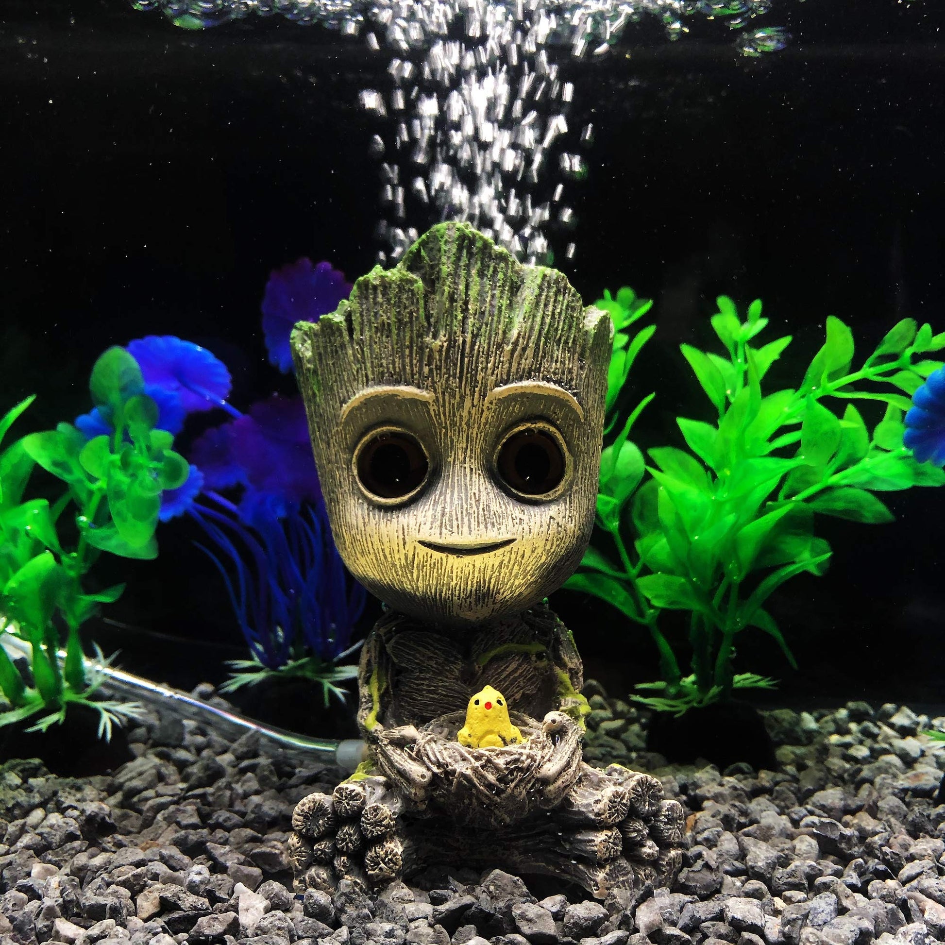 Your one-stop shop for diverse, top-quality aquarium supplies and accessories