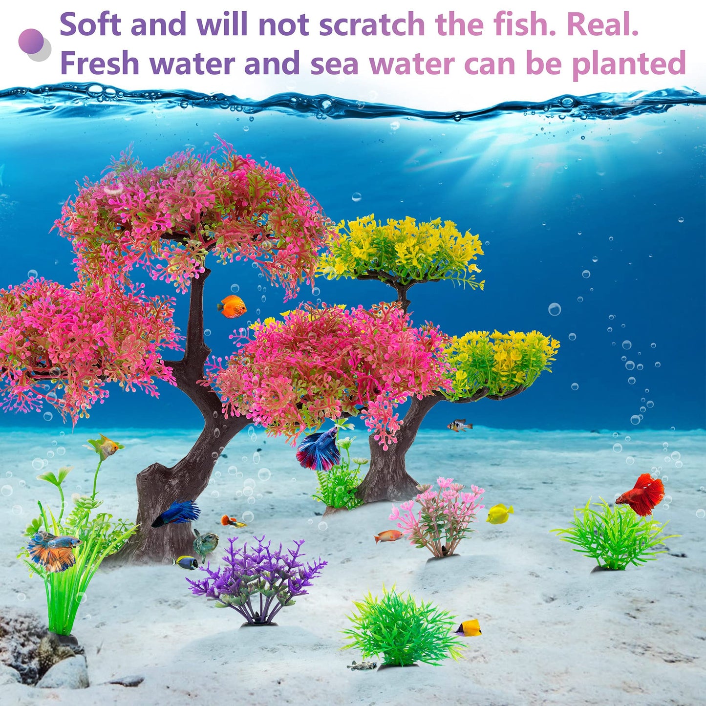 Your one-stop shop for diverse, top-quality aquarium supplies and accessories