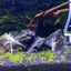 Your one-stop shop for diverse, top-quality aquarium supplies and accessories