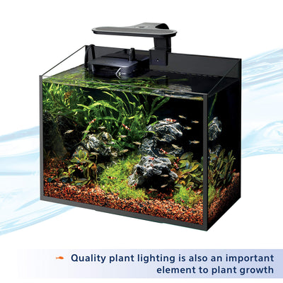 Your one-stop shop for diverse, top-quality aquarium supplies and accessories
