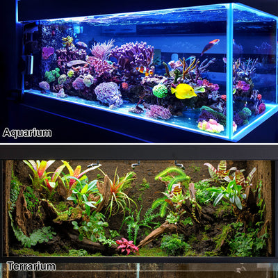 Your one-stop shop for diverse, top-quality aquarium supplies and accessories
