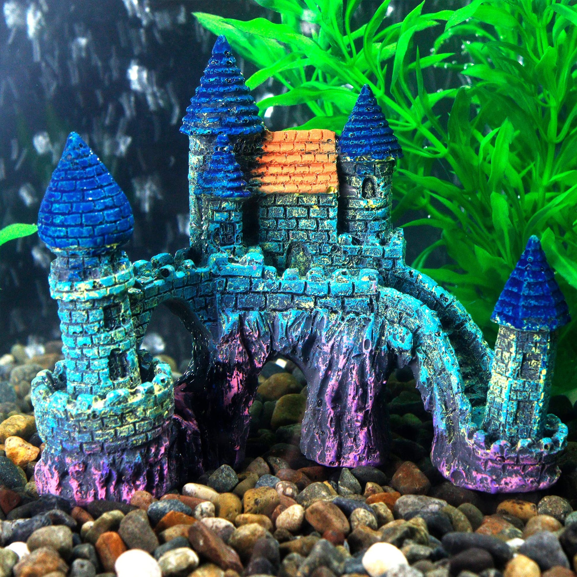 Your one-stop shop for diverse, top-quality aquarium supplies and accessories